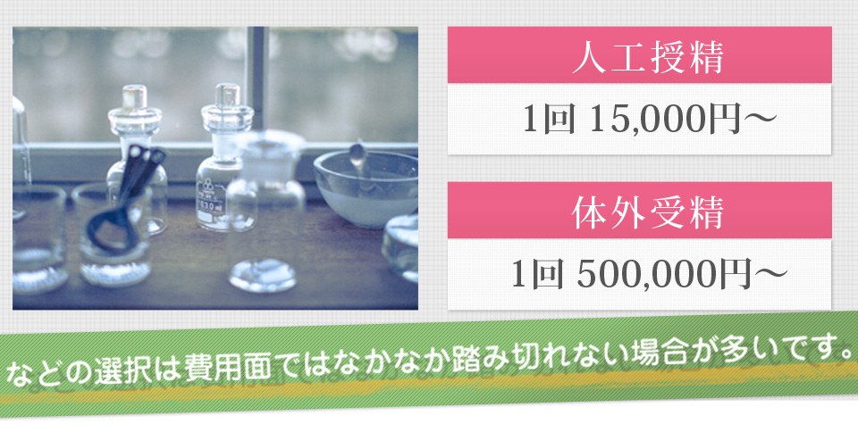 人工授精1回15,000円 体外受精1回30,000円~500,000円などの選択はなかなか踏み切れない場合が多いです。