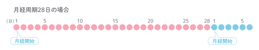 月経周期の数え方